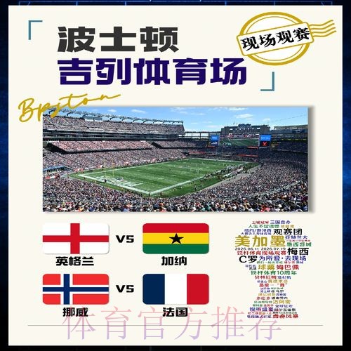 世界杯法国哈兰德小组赛形势全面分析